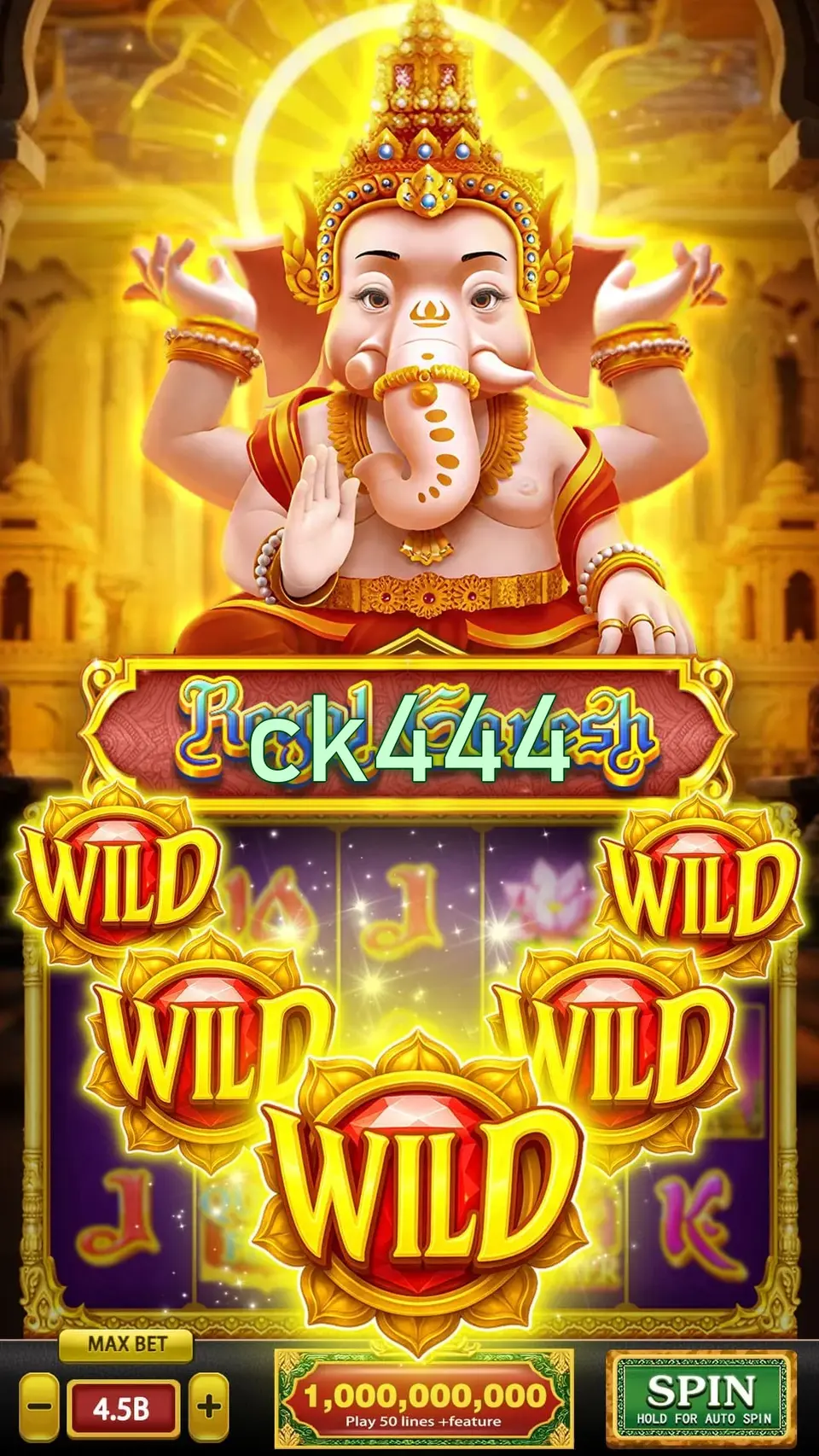ck444 লগইন